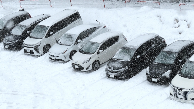 車と雪