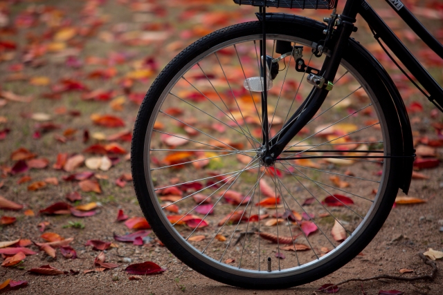 electric-bicycle-tire (3)